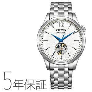 CITIZEN COLLECTION V`YRNV JjJ @Bv I[vn[g NH9131-73A Y rv  芪 