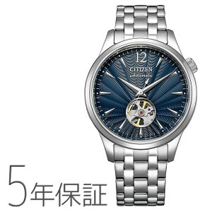 CITIZEN COLLECTION V`YRNV JjJ @Bv I[vn[g NH9131-73L Y rv  芪 