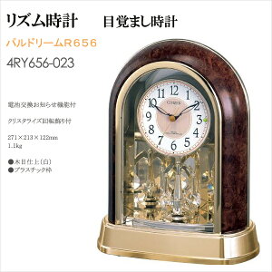 V`Y dguv ph[R656 4RY656-023 dgv uv 