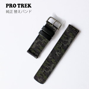 vgbN PROTREK JVI CASIO ւoh ւxg pxg ʕz 10552480