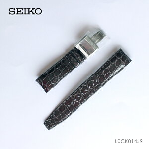 ZCR[ SEIKO AXg ASTRON  ւoh ւxg pxg NR_C jv SBXB023p SBXB095p ubNn L0CK014J9