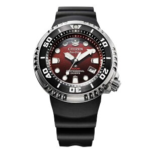CITIZEN PRO MASTER V`Y v}X^[ MARINEV[Y 300m PROFESSIONAL DIVER'S GRhCu Yrv PRO MASTER BN1024-01Z