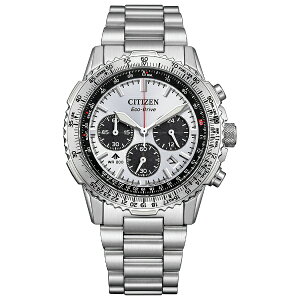 CITIZEN PRO MASTER V`Y v}X^[ SKYV[Y GRhCu 20Ch Y rv CA4660-61A
