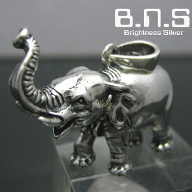 銀の象 アジアゾウペンダント　シルバー925 SV925 silver925 (ネックレス、インドゾウ、エレファント、ぞう、Elephas maximus、動物)