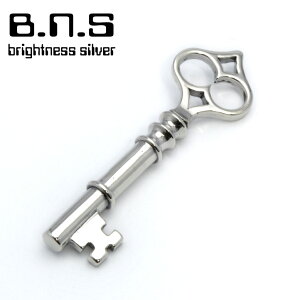 ̌ AeB[NL[y_g11 Vo[925 ␻yneck-1491-P208z