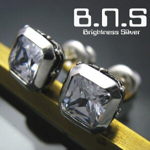 Е̔@XNGAXg[NEsAX1 NA Vo[925WRjA 