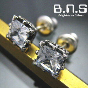 Е̔@XNGAXg[NEsAX2 NA Vo[925WRjA 