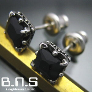 Е̔@XNGAXg[NEsAX2 ubN Vo[925WRjA ysvpias463-E66CMHz