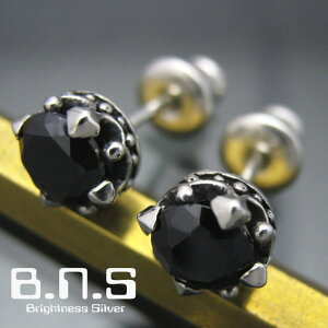 Е̔@CZCNEsAX ubN Vo[925WRjA 