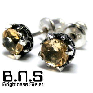 Е̔@VR VgCNEsAX CG[ F Vo[925 ysvpias497-E65z