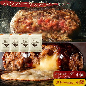 究極のひき肉 で作る ぼんぼり 牛100% ハンバーグ ＆ カレー セット [ ハンバーグ 200g / 食研カレー 200g ] | bonbori お取り寄せ ギフト 総菜 肉 チーズ レトルト curry 贈り物 誕生日 内祝 父の日 お中元 コンペ 景品 賞品 冷凍食品 送料無料 ※カレー単品は日付指定不可