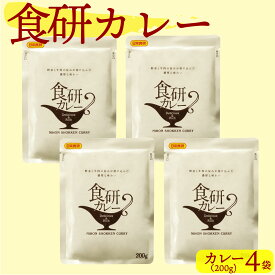 究極のひき肉 で作る ぼんぼり 牛100% ハンバーグ ＆ カレー セット [ ハンバーグ 200g / 食研カレー 200g ] | bonbori お取り寄せ ギフト 総菜 肉 チーズ レトルト curry 贈り物 誕生日 内祝 父の日 お中元 コンペ 景品 賞品 冷凍食品 送料無料 ※カレー単品は日付指定不可