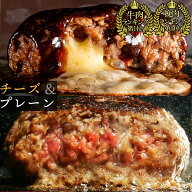 究極のひき肉で作る 牛100% ハンバーグ ステーキ 200g プレーン＆チーズin ミックスセット 1個ずつ 個包…