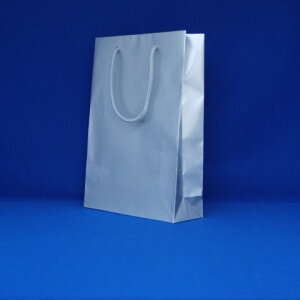 ���V���W�}�@�u���C�g�o�b�O�i��񂰑܁j�@6138204�M���y9�z�ya62391�z