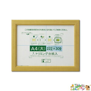 �������@�܏�z���@���J�m�G���@A4�i�p�b�N����jJ635-D2500�y2302011�z