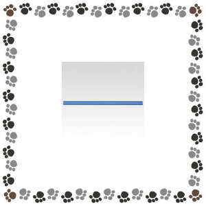 NE@}Olbgo[@ĐABS@CR-MG300R-BLya48111z