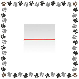 NE@}Olbgo[@ĐABS@CR-MG300R-Rya48112z