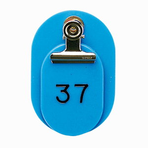 ☆クラウン 親子札 <2枚1組>スチロール製 CR-OY50-SB/空【a34844】