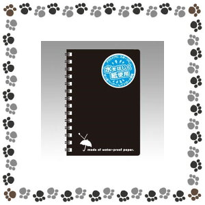 AsJ@CK[huv@B7F10@SW88KNy1063391z