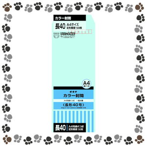 ���I�L�i �J���[���� HP40BU ��40 �u���[ 50���y1147307�z