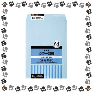 �I�L�i �J���[���� HPK2BU �p2 �u���[ 50���y1147270�z