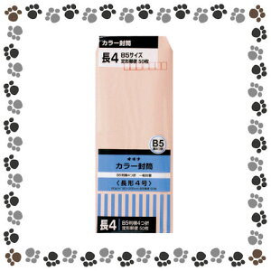 �I�L�i�@�J���[���� HPN4PK ��4 �s���N 50���y1147293�z