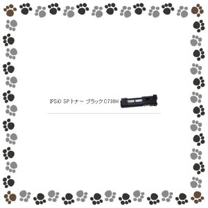 yizyeʃgi[zR[ IPSiO SP gi[ ubN C730H y600528z