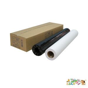 AWA@唻CNWFbgp@ʎiGRm~[jIJPR-6150ENy4612502z