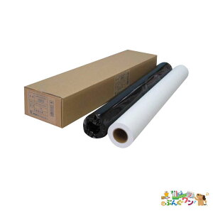 AWA@唻CNWFbgp@ʎiGRm~[jIJPR-8450ENy4612503z