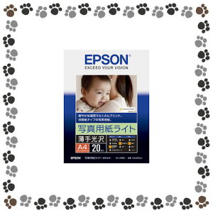 Gv\iEPSONj@ʐ^pCg KA420SLUy7425151z