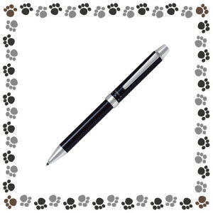 ���p�C���b�g�@�c�[�v���X�����@�G�{���g��2+1�@EVOLT�i�G�{���g�j��BTHE-1SR-B/�u���b�N�y2053282�z