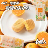 【15%OFFクーポン対象】(株)母恵夢 ベビー母恵夢(ポエム）・愛媛のみかん 袋6個入≪熨斗対応不可≫ 愛媛…