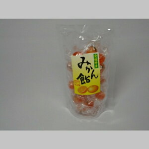 ()ʎq{ ݂ ܁lΉs∤Q   yY v[g