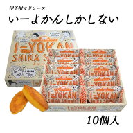 (株)一六 いーよかんしかしない 10個入≪熨斗対応不可≫ 愛媛／お土産／贈り物／マドレーヌ☆
