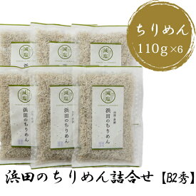 (有)マルヨシ水産 浜田のちりめん 【B2秀】ちりめん詰合せ 110g×6 愛媛 ちりめん 詰め合わせ セット 贈答用 プレゼント 贈り物