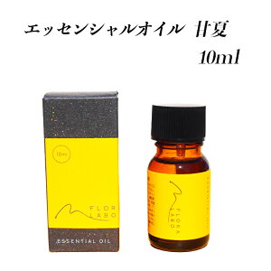 y10OFFN[|ΏہzY() t[{ GbZVIC É10mllΉs