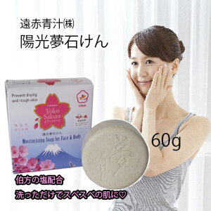 Ԑ`() z΂60glΉs