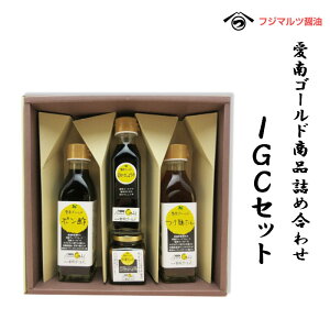 合名会社辻三親商会 IGCセット (お徳用化粧箱入り)贈答用 お中元 御中元 プレゼント ギフト 御祝 詰め合わせ セット ポン酢 たれ 麺たれ 愛南ゴールド 河内晩柑