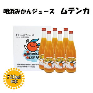 y10OFFN[|Ώہz͂܃V[TChTp[N() l݂񃀃eJE-1 720ml 6{