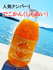 ()ۑ 炿 łXg[gW[X 500ml 12{ Q݂W[X IWW[X Mtg