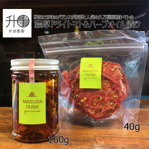 c_ vƂ܂Ƃ̔ZhCg}g&ZhCg}g̃n[uICЂ