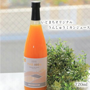 (株)糸プロジェクト いとまちオリジナルうんしゅうミカンジュース 愛媛 みかんジュース 柑橘 お土産