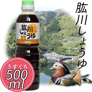 y10OFFN[|Ώہz(L)ЂYJ n삵傤ij500mllΉs∤Q ݖ 傤 