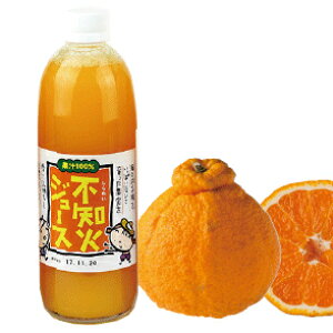 (株)オレンジフーズ 不知火ジュース 500ml×1本≪化粧箱無≫≪熨斗対応不可≫ 愛媛 みかんジュース しらぬい 100%ストレートジュース