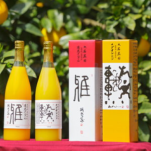 【クーポン利用で30%オフ】(株)NADAナダオレンジジュース・清見タンゴールジュース2本セット【すご得】【ふるさと割】