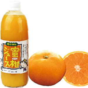 (株)オレンジフーズ 蜜柑(みかん)ジュース 500ml×12本≪熨斗対応不可≫ 愛媛 みかんジュース 100%ストレートジュース