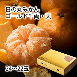 リベラル日の丸みかんゴールド千両・天特秀品・高糖度24〜22玉