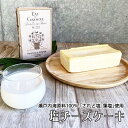 ランタナフードサービス(株) Story of cheesecake. 塩チーズケーキ≪熨斗対応不可≫ 愛媛のお土産 スイーツ 冷凍チーズケーキ お取り寄せ ストーリーオブチーズケーキ 秋特集