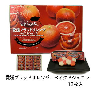 【愛媛県のお菓子】【お土産やプレゼントに】(株)名所堂愛媛ブラッドオレンジベイクドショコラ〈愛媛のお土産〉〈プレゼントにも〉