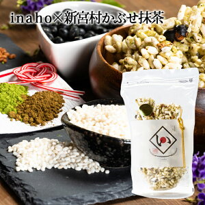 (L)Ђ߂ inaho×V{ԂlΉs∤Q |َq yY p 蕨 v[g o